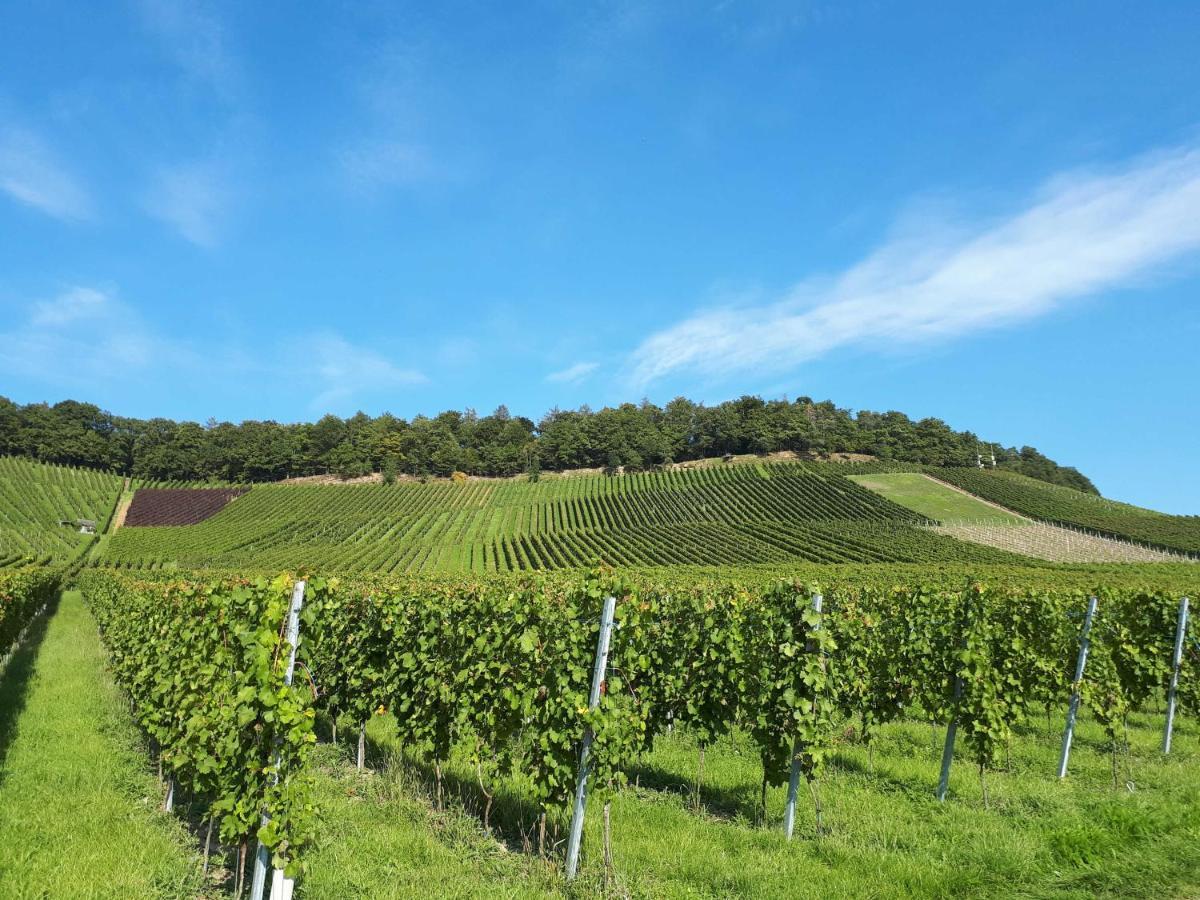 Weinlodge Am Geissberg Eberstadt Bagian luar foto